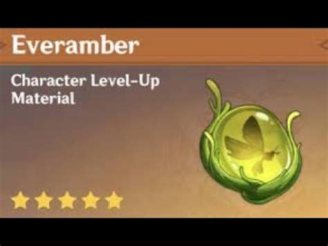 everamber|How to Get and Use Everamber 